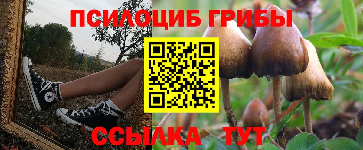 Псилоцибиновые грибы GOLDEN TEACHER Апатиты