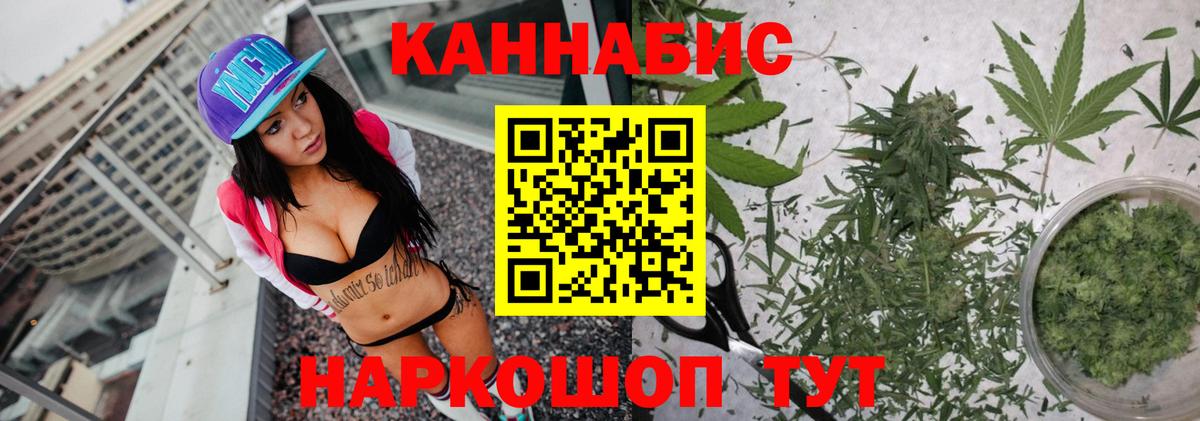 Бошки Шишки план Апатиты